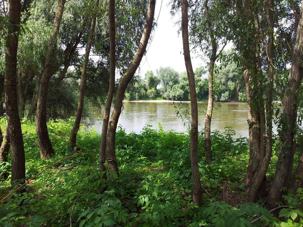 Pensiunea Lunca Arad Exterior photo